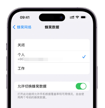 松北苹果维修服务分享如何在iPhone上使用双卡 