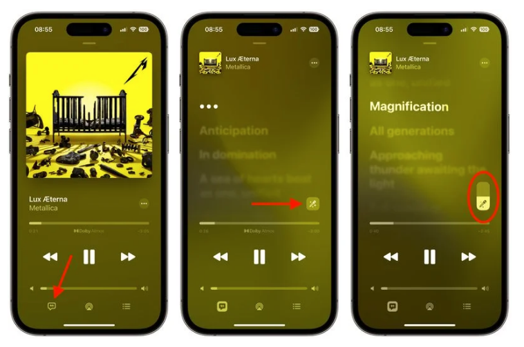 松北苹果服务网点分享iOS 16.2 全新功能：在 iPhone 或 iPad 上使用 Apple Music 唱歌 